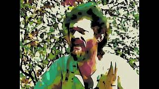 Terence McKenna: All About Shamanism