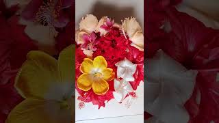 Tarini maa #different colour  🌺 #flowers #shortvideos