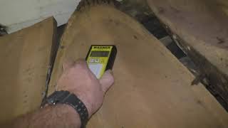 Wood slab Ovals video: Checking moitsure content