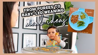 HOW I TRANSITIONED MY BABY FROM EATING PUREES TO BABY-LED WEANING BY 9 MONTHS & MEAL IDEAS