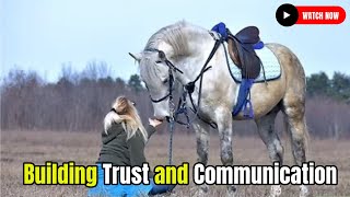 Building Trust and Communication with Your Horse Horse Breeding #secretanimals @secret_animals