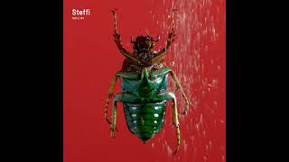 Fabric 94 - Steffi (2017) Full Mix Album