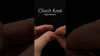 Clinch Knot / Узел Клинч - простой и надежный✅ #fishing #рыбалка #fishingknot #shorts