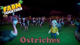 Farm Together - Ostriches