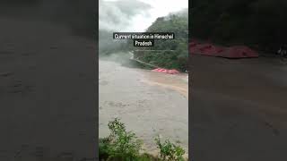 Breaking news Himachal Pradesh  हिमाचल प्रदेश की ताजा खबरें mandi #shorts #news #himachalpradesh