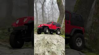 Jeeping in the misty forest #rockcrawler #mstcmx #jeepwrangler #tamiya