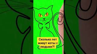 Сколько лет коты живут с людьми?! #топ #факты #животные #земля #природа #кот #котики