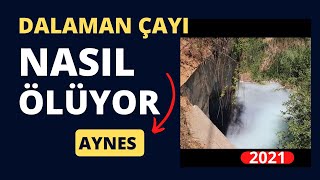 DALAMAN ÇAYI NASIL ÖLÜYOR - 7 HAZİRAN 2021