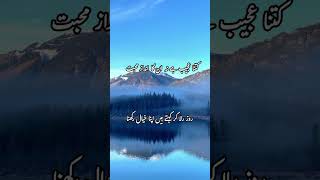 Urdu poetry | Urdu Hindi shayary کتنا عجیب ہے نہ ان کا انداز محبت | Urdu 2 line sher