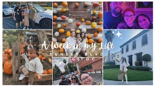 VLOG - Week in My Life: A day on Sunset Blvd., Week off Nursing School | House of CasLla