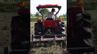 may cay kubota | kubota l5018vn tractor #Short #Shosts @locnhitv #kubota #tractor #maycay