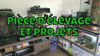 Pièce d'élevage et futurs projets