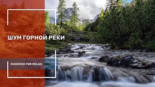 Звуки природы.  Шум горной реки ✦ Пение Птиц ✦ Sleep Sounds