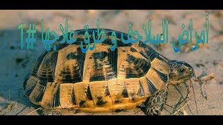 الجزء الاول‎ #1 اشهر امراض السلاحف و طرق علاجها