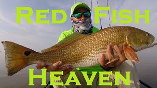 So Many Redfish! | Kayak Fishing Tournament