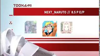 Toonami - 2005 Lineup, Now, Teen Titans Next Naruto -, Later -Naruto