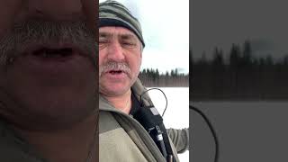 Таежная рыбалка #youtubeshorts #fishing #рыбалка