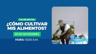 Taller Virtual: ¿Cómo cultivar mis alimentos?