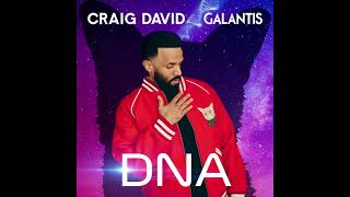 CRAIG DAVID & GALANTIS - DNA (LITTLE MONSTER MEDIA PI)