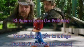 El Pajaro Loco (La Pelicula) Your Turn To Live In A Cage [Batalla Final] {Fandub Español Latino}