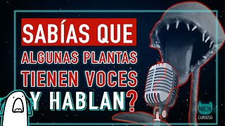 DESCUBRE el SECRETO de las PLANTAS que HABLAN