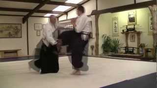 Mae Geri Irimi Nage Irimi and Tenkan