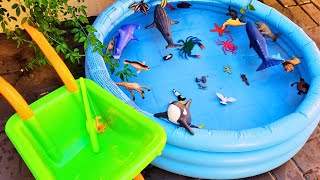 SEA ANIMALS, DINOSAURS, AND WILD ANIMALS FOR TODDLERS: NAMES, TOYS, AND VIDEOS