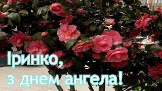 Привітання з іменинами для ІРИНИ 🌷