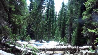 2010 - Yellowstone National Park Trip - Part 1, Wyoming, USA