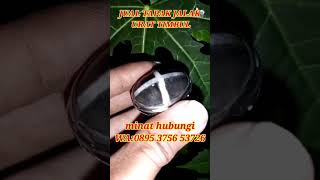 jual tapak jalak urat timbul natural #shorts