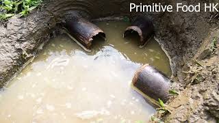 Primitive life: Craziest fish trap - Bury bamboo tubes in the ground to trap fish