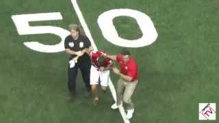 Anthony Schlegel Tackles Fan on Field