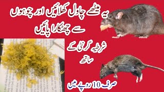 How to get rid of rats in the house|chuho ko bhagane ka tarika|chuho ko Marne ka tarika