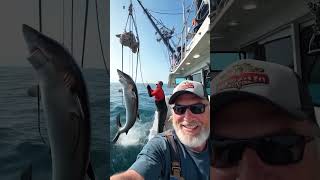 Giant Great White Shark Surprises Everyone on Fishing Boat!