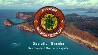 Opération Nyamba Sea Shepherd Mission à Mayotte : Des tortues, des hommes et des bidonvilles.