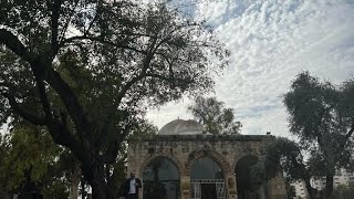 The Sanhedrin route  -     Yavneh (יבנה)