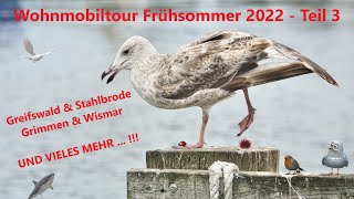 Wohnmobiltour im Frühsommer 2022 (Teil 3) - Greifswald - Stahlbroden - Grimmen - Wismar u.v.m. ... !