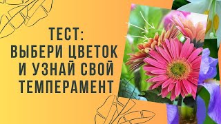 Тест: выбери цветок и узнай свой темперамент.