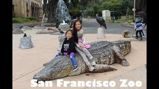 Family Trip San Francisco Zoo