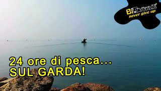 * BETACKLE * 24 ore DI PESCA A CARPFISHING sul lago di GARDA, reginone a guadino!