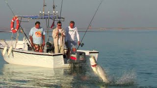 Pecanje nilskog grgeča u Egiptu na jezeru Naser I deo | Fishing Nile perch in Egypt