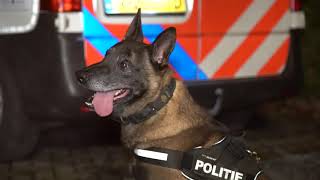 Politie doorzoekt met politiehond bouwterrein op insluipers: twee aanhoudingen