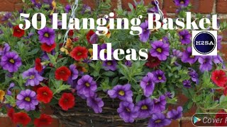 50 Hanging Basket Ideas