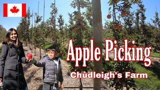 Apple Picking at Chudleigh’s Farm| Buhay sa Canada