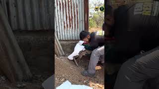 Hyena Rescue in Nashik | RESQ CT, Nashik 2023