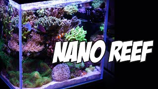 Facciamo un NanoReef 70l - EP01