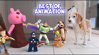 TOP 100 ANIMATION IN REAL LIFE COMPILATION Ep10