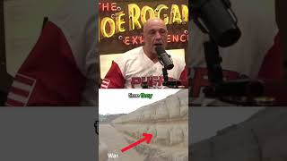 Rogan Talks About When The Sphinx with Musk #shorts