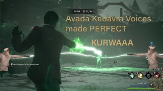 Hogwarts Legacy -  Avada Kedavra voice made PERFECT - kurwa