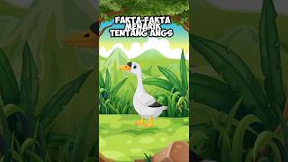 FAKTA-FAKTA MENARIK TENTANG ANGSA #angsa #shorts #animallover #animalshorts